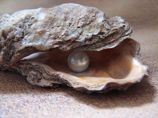 oyster-1327311_960_720.jpg